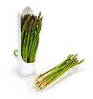 3023 Prepara Refrigerator Magnets Herb 897659001423