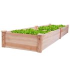 Gt2935 Apontus Wooden Vegetable Raised 714343406145
