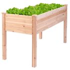 Gt2936 Apontus Wooden Elevated Raised 714343406152