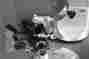Mg800 Waring Pro Professional Meat Grinder Sausage Maker