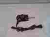 Tksp-s009b-10 Rival Tktc-3 Electric Skillet Model Probe Temperature Control Cord