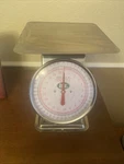 Stainless Steel Scale 44 Lb. By Lem Products Commercial Quality. Fixed Price $34.00.