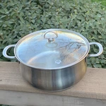 Chantal Stew Pot Saucepan 5 Qt Stainless Double Handle SLSA32-240 & Glass Lid. Fixed Price $59.99.