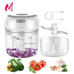 Electric Kitchen Food Chopper Mini Garlic Masher Crusher Usb Portable Meat Grind. Fixed Price $19.42.