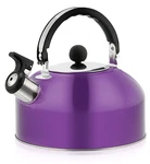 2.7 Quart (3 L) Kettle, Food Grade Stainless Steel Is Best For .... Fixed Price $27.82.