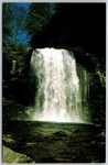 Looking Glass Falls Pisgah National Forest North Carolina - Postcard 6858. Fixed Price $5.10.