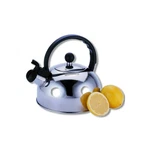 Primula Silver Stainless Steel 2.5 Qt Tea Kettle PTK-6525. Fixed Price $28.95.
