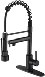 Modern Stainless Steel Kitchen Faucet With Pull Down Sprayer & Deck Plate. Fixed Price $66.99.